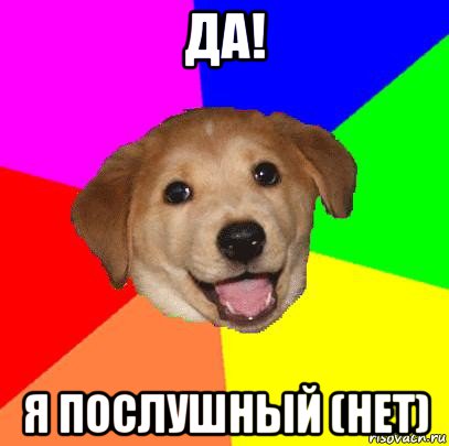 да! я послушный (нет), Мем Advice Dog