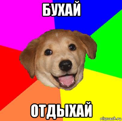 бухай отдыхай, Мем Advice Dog