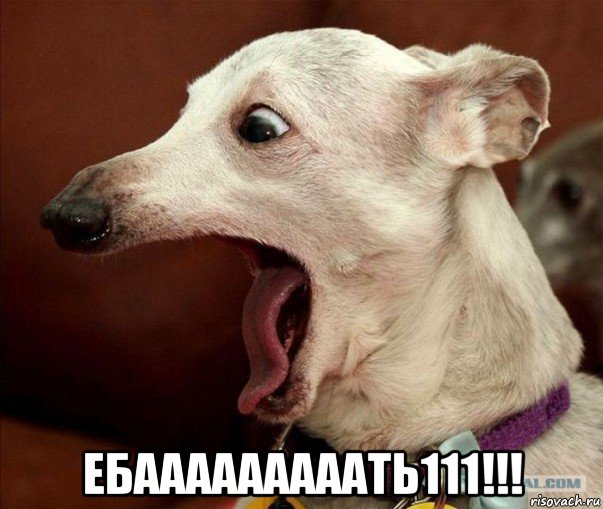  ебааааааааать111!!!
