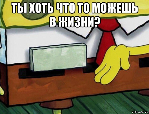 ты хоть что то можешь в жизни? 
