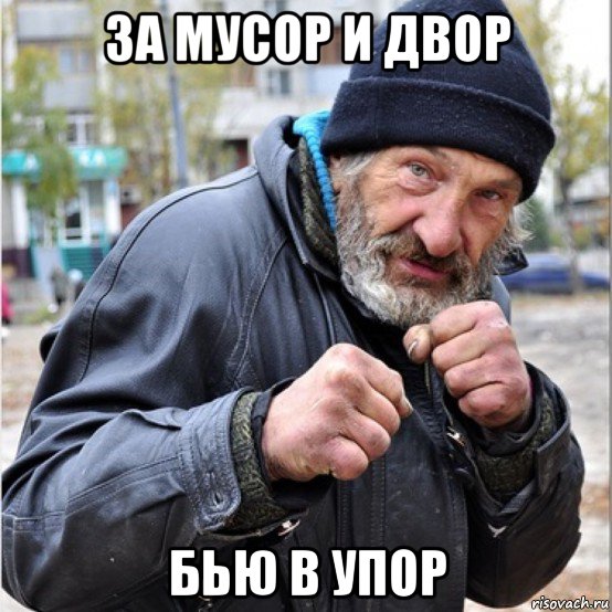 за мусор и двор бью в упор, Мем Бомж свиноматка