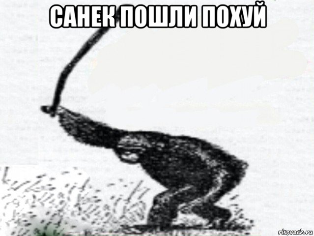 санек пошли похуй , Мем Бунт Обезьяна с дубиной