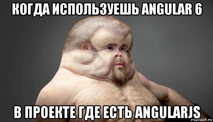 когда используешь angular 6 в проекте где есть angularjs, Мем  Человек который выживет в лбом ДТП