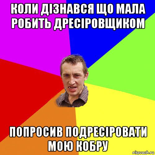 коли дізнався що мала робить дресіровщиком попросив подресіровати мою кобру, Мем Чоткий паца