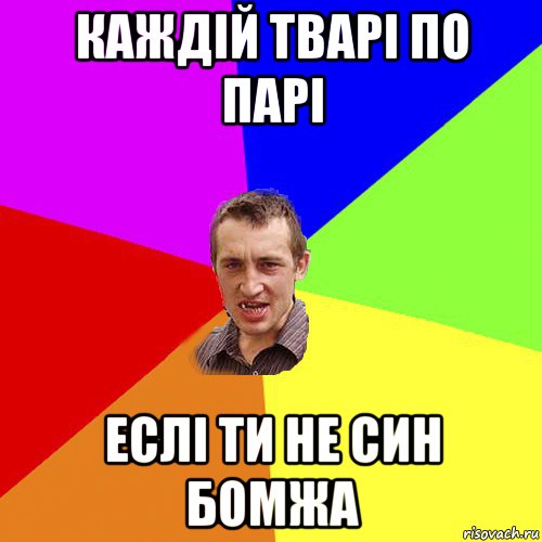 каждій тварі по парі еслі ти не син бомжа, Мем Чоткий паца