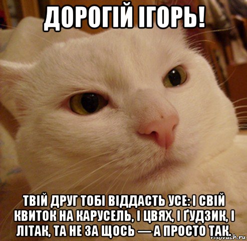 дорогій ігорь! твій друг тобі віддасть усе: і свій квиток на карусель, і цвях, і ґудзик, і літак, та не за щось — а просто так., Мем Дерзкий котэ