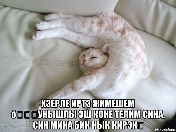 смешная картинка, смешной комикс, прикол