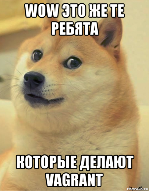 wow это же те ребята которые делают vagrant, Мем doge woof