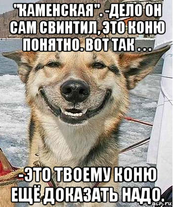 "каменская". -дело он сам свинтил, это коню понятно. вот так . . . -это твоему коню ещё доказать надо., Мем Довольный пес