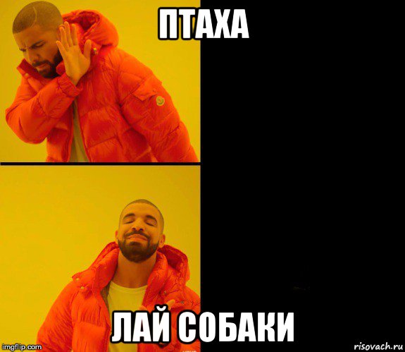 птаха лай собаки