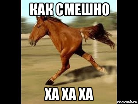 как смешно ха ха ха