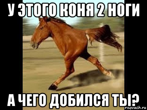 у этого коня 2 ноги а чего добился ты?