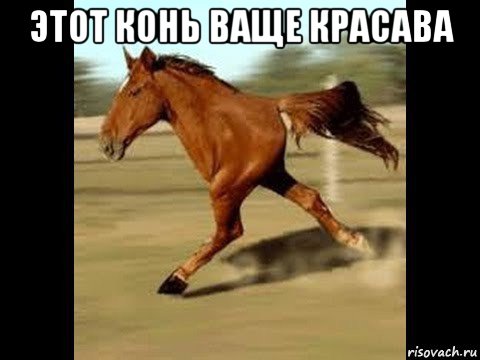 этот конь ваще красава 