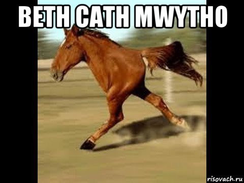 beth cath mwytho 