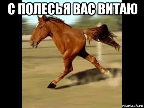 с полесья вас витаю 