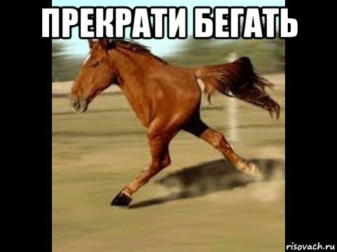 прекрати бегать 
