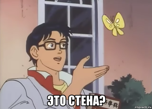  это стена?