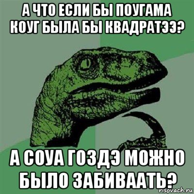 а что если бы поугама коуг была бы квадратээ? а соуа гоздэ можно было забиваать?, Мем Филосораптор