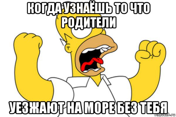 когда узнаёшь то что родители уезжают на море без тебя, Мем Разъяренный Гомер