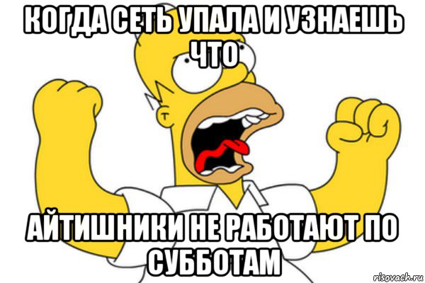 когда сеть упала и узнаешь что айтишники не работают по субботам, Мем Разъяренный Гомер