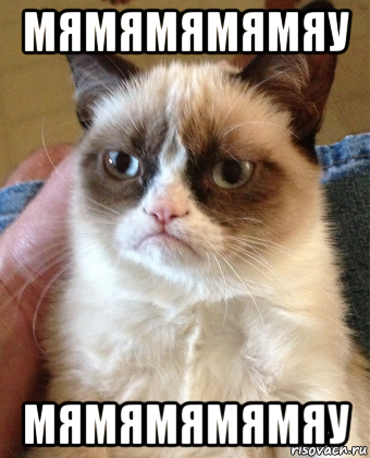 мямямямямяу мямямямямяу, Мем Grumpy Cat small