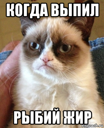 когда выпил рыбий жир, Мем Grumpy Cat small