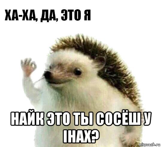  найк это ты сосёш у ihax?, Мем Ха-ха да это я