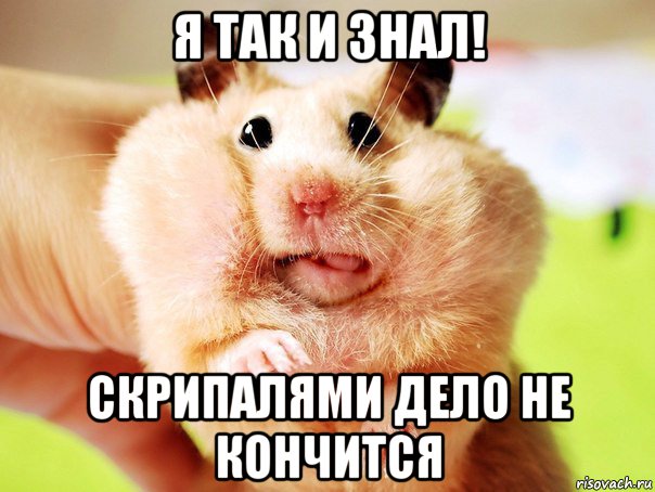 я так и знал! скрипалями дело не кончится