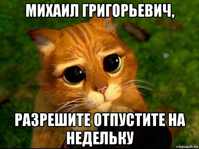 михаил григорьевич, разрешите отпустите на недельку, Мем Кать дай телефон пожалуйста