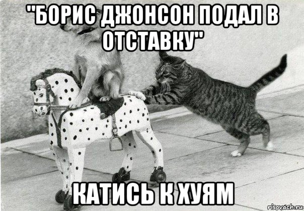 "борис джонсон подал в отставку" катись к хуям, Мем Катись к хуям