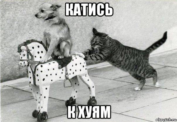 катись к хуям, Мем Катись к хуям
