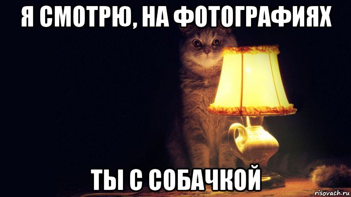 я смотрю, на фотографиях ты с собачкой