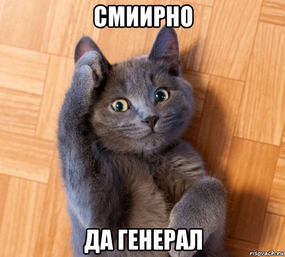 смиирно да генерал