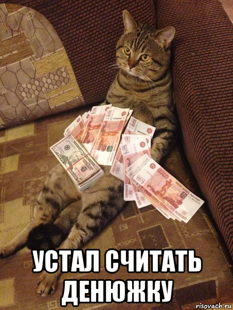  устал считать денюжку