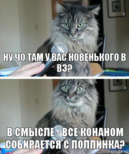 ну чо там у вас новенького в вз? в смысле - все конаном собирается с полпинка?, Комикс  кот с микрофоном