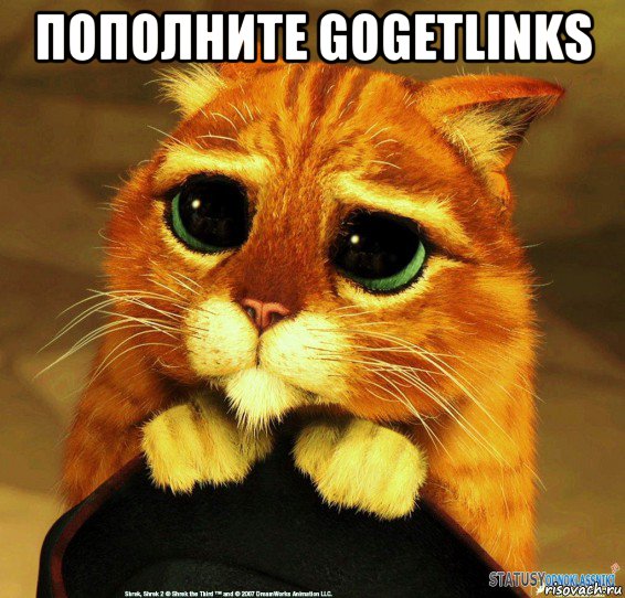 пополните gogetlinks , Мем Котик из Шрека