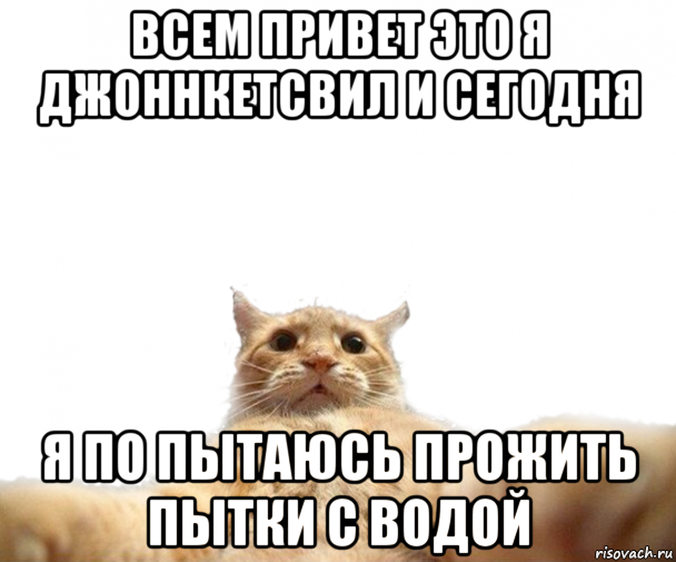 всем привет это я джоннкетсвил и сегодня я по пытаюсь прожить пытки с водой, Мем Кот