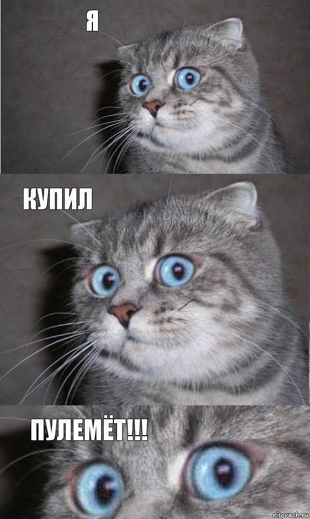 я купил пулемёт!!!, Комикс  котейка