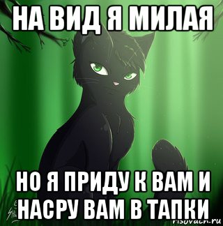 на вид я милая но я приду к вам и насру вам в тапки
