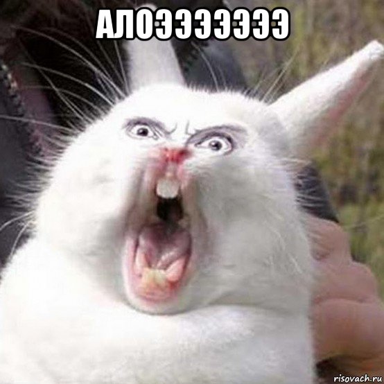 алоэээээээ 