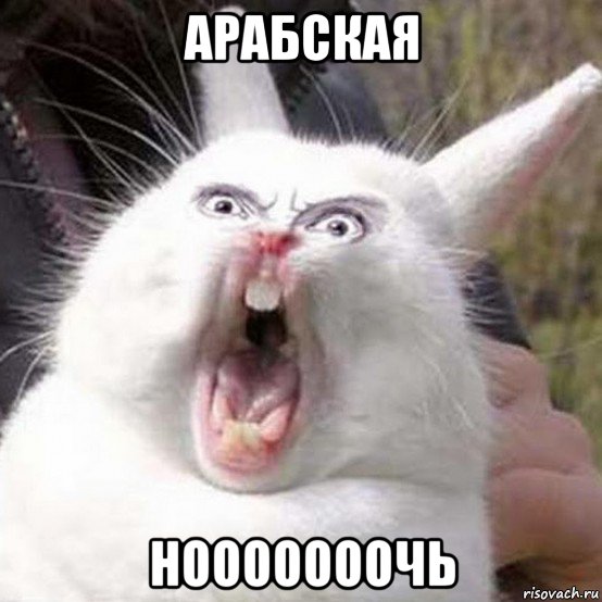 арабская нооооооочь