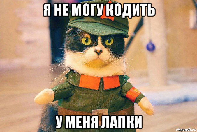 я не могу кодить у меня лапки