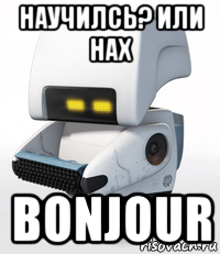 научилсь? или нах bonjour
