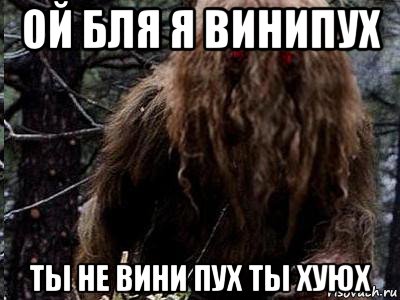 ой бля я винипух ты не вини пух ты хуюх