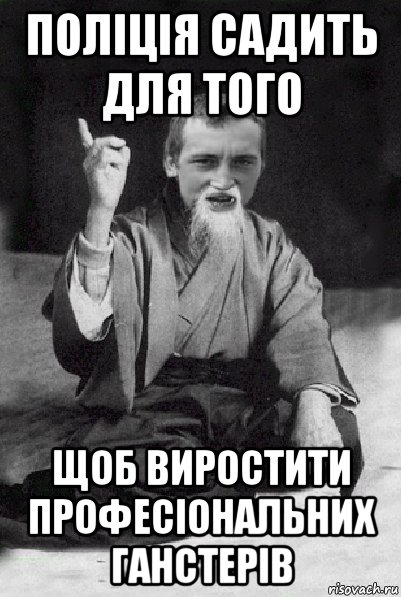 поліція садить для того щоб виростити професіональних ганстерів, Мем Мудрий паца