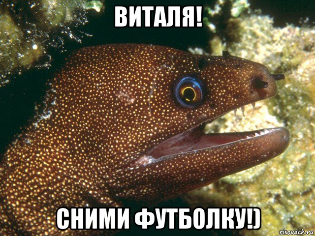 виталя! сними футболку!), Мем мурена