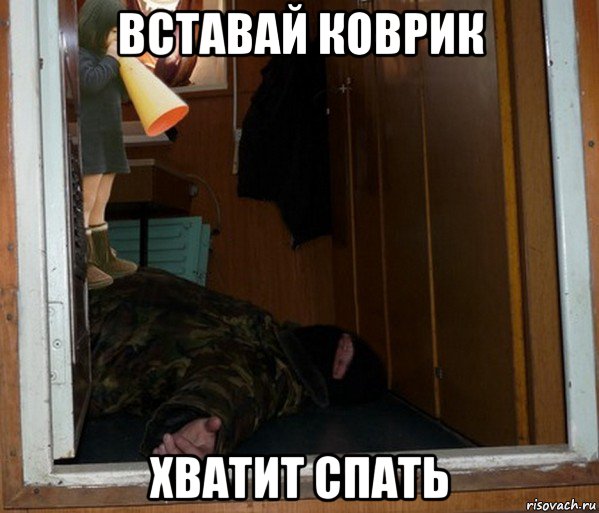 вставай коврик хватит спать