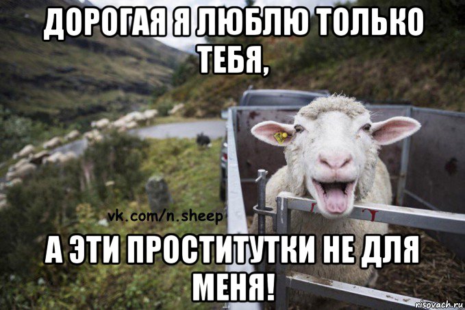 дорогая я люблю только тебя, а эти проститутки не для меня!