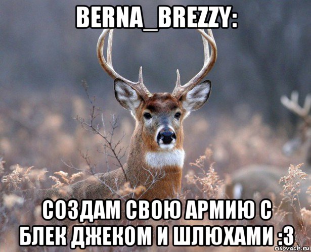 berna_brezzy: создам свою армию с блек джеком и шлюхами :3, Мем   Наивный олень