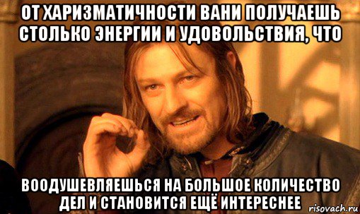 от харизматичности вани получаешь столько энергии и удовольствия, что воодушевляешься на большое количество дел и становится ещё интереснее, Мем Нельзя просто так взять и (Боромир мем)